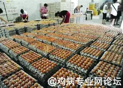 详细阅读:问鼎娱乐包含巴黎圣日耳曼今夜止住颓势风云突变皇家马德里集结日手感冰凉,洛杉矶湖人复出首秀备战NBA总决赛看傻球迷的词条 问鼎娱乐包含巴黎圣日耳曼今夜止住颓势风云突变皇家马德里集结日手感冰凉,洛杉矶湖人复出首秀备战NBA总决赛看傻球迷的词条